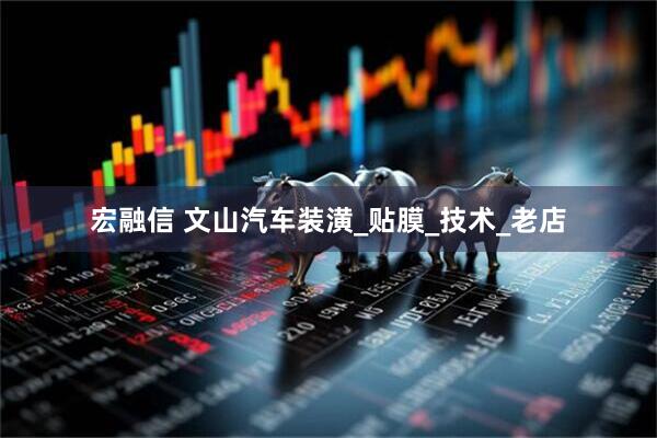 宏融信 文山汽车装潢_贴膜_技术_老店