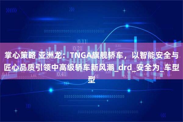 掌心策略 亚洲龙：TNGA旗舰轿车，以智能安全与匠心品质引领中高级轿车新风潮_drd_安全为_车型