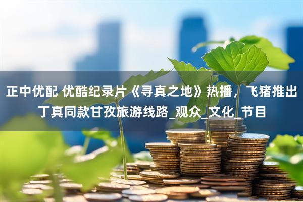 正中优配 优酷纪录片《寻真之地》热播，飞猪推出丁真同款甘孜旅游线路_观众_文化_节目