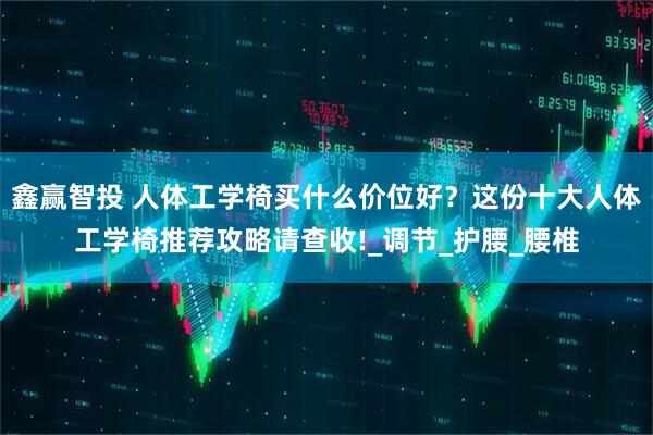 鑫赢智投 人体工学椅买什么价位好？这份十大人体工学椅推荐攻略请查收!_调节_护腰_腰椎